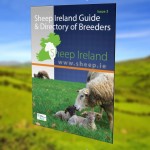 Sheep Ireland Guide: Issue 3 NOW AVAILABLE