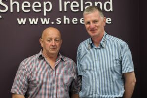 Sheep Ireland Board elections