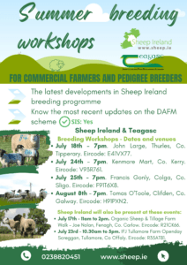Sheep Ireland & Teagasc Summer Breeding Workshops. Save the dates!