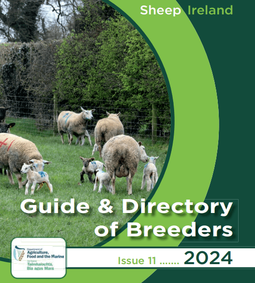 You are currently viewing Sheep Ireland Guide & Directory of Breeders 2024