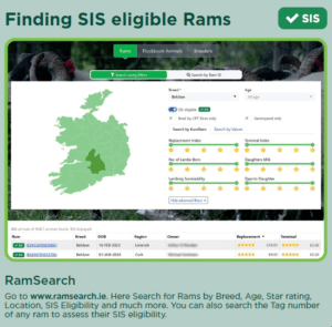 Read more about the article How to check if my ram was eligible at the date of purchase for the SIS?