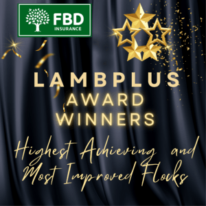 2024 LambPlus Award Winners