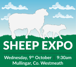 Sheep Expo 2024 will take place tomorrow!