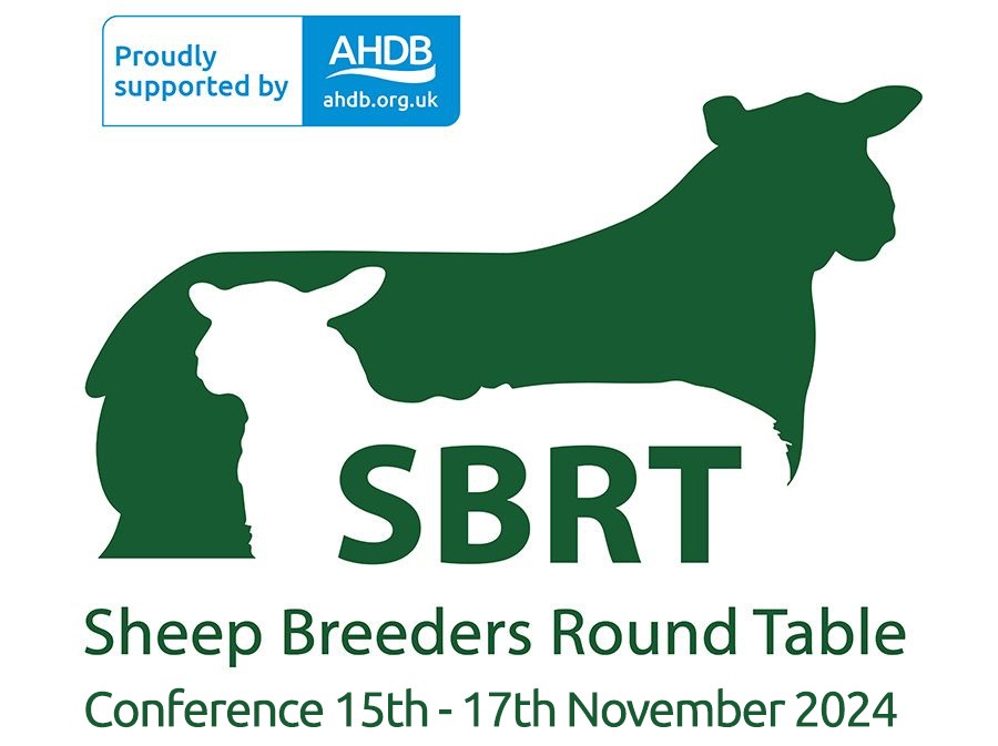 You are currently viewing Sheep Ireland at the Sheep Breeders Round Table 2024