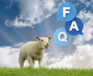 Read more about the article Sheep Ireland FAQ: Your Questions Answered