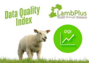 Read more about the article All you need to know about the LambPlus Data Quality Index